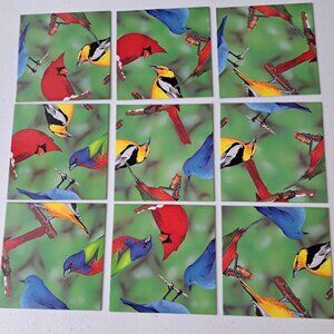 Scramble Squares Puzzle North American Birds 9 Pcs Ages 4+ Brain Teaser 12x12"